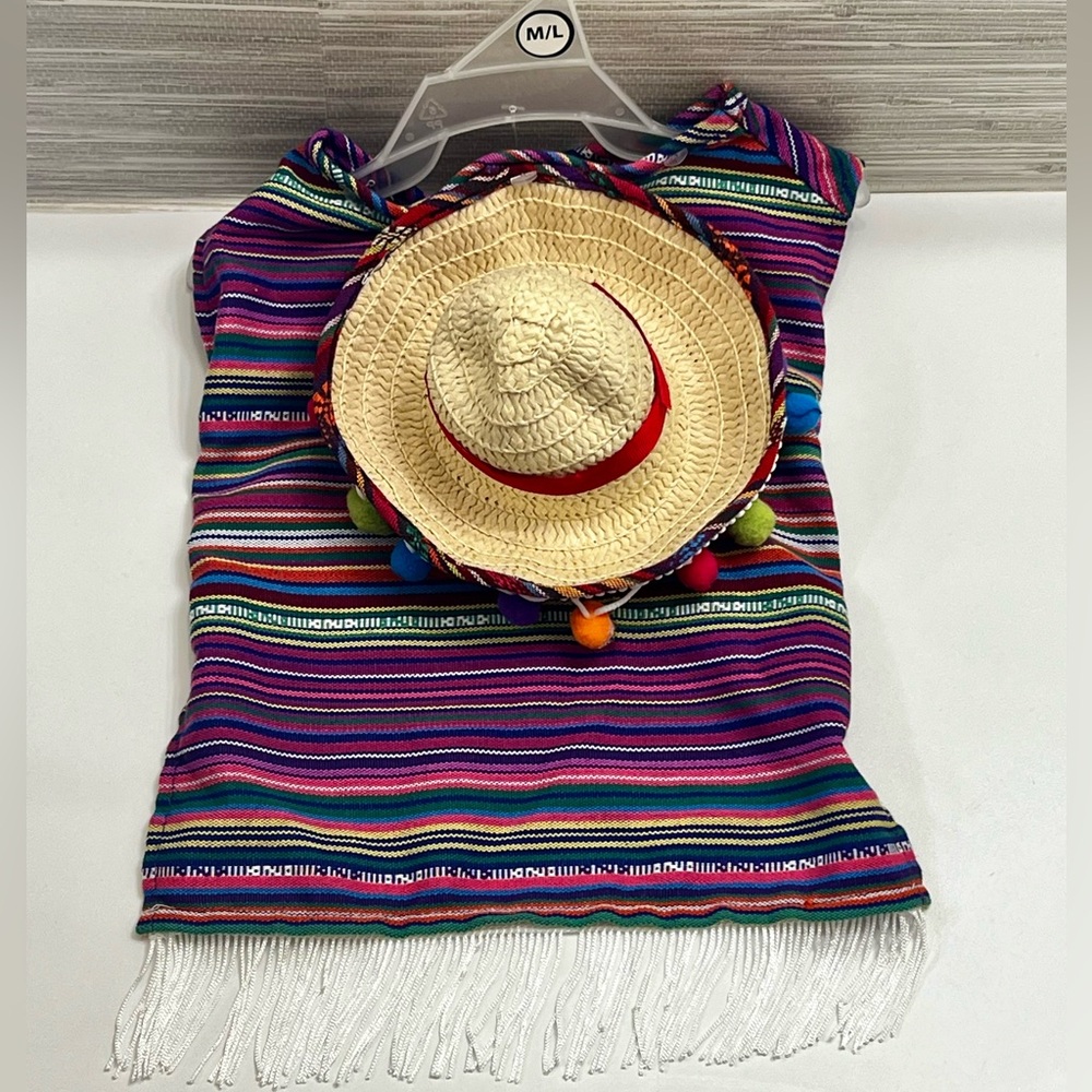 Dog Sombrero & Hat Costume